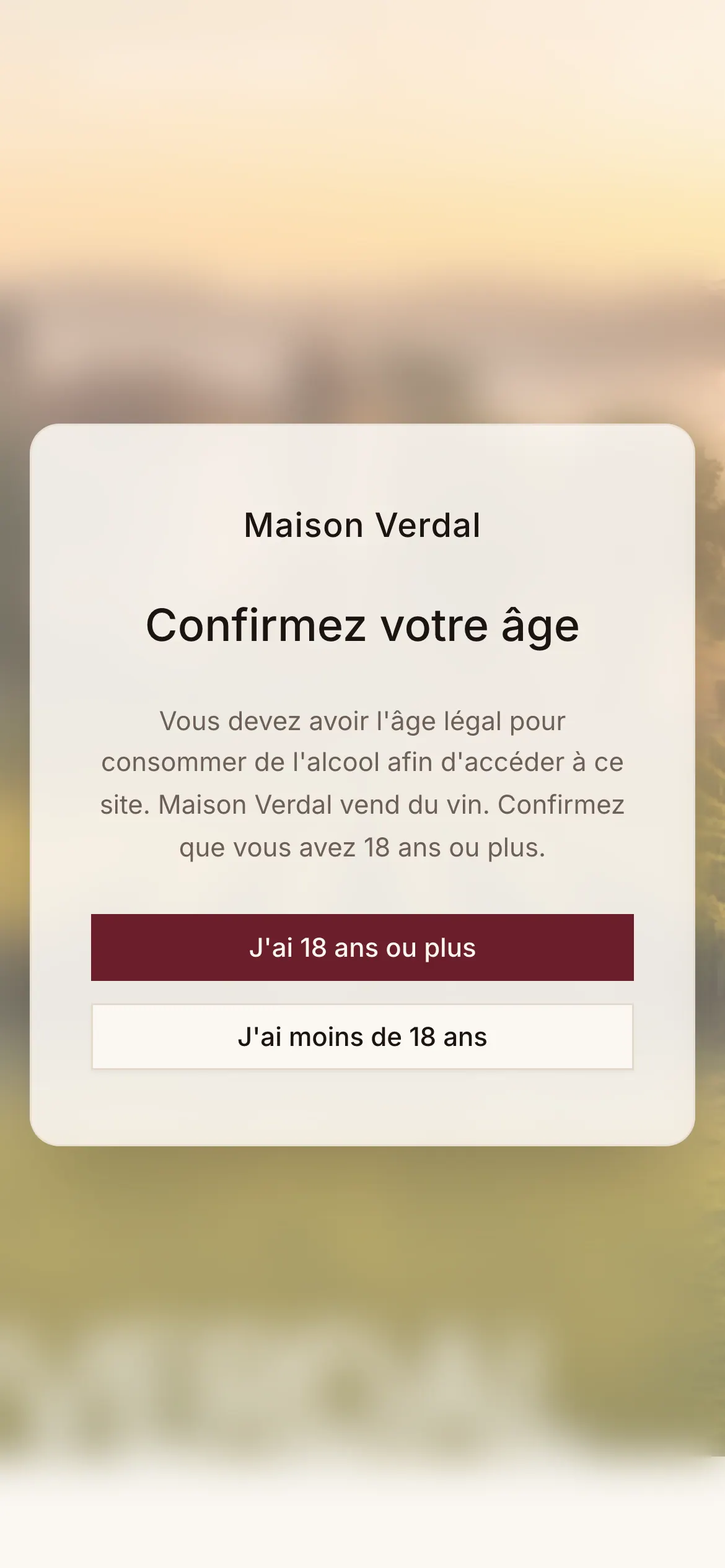 Le contrôle de l’âge au premier chargement : le contenu reste flouté derrière, deux réponses possibles, aucune sortie de côté.